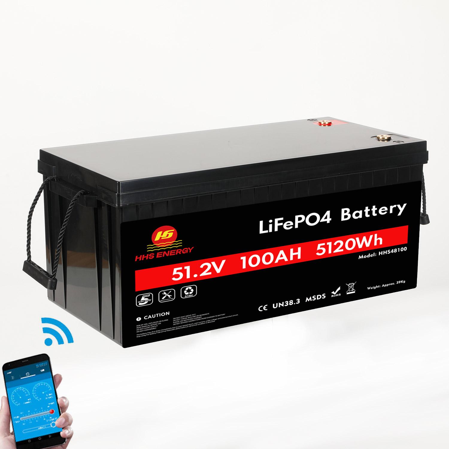 LiFePO4 Battery 48V 100Ah Solar Energy Storage System Lithium Batteries